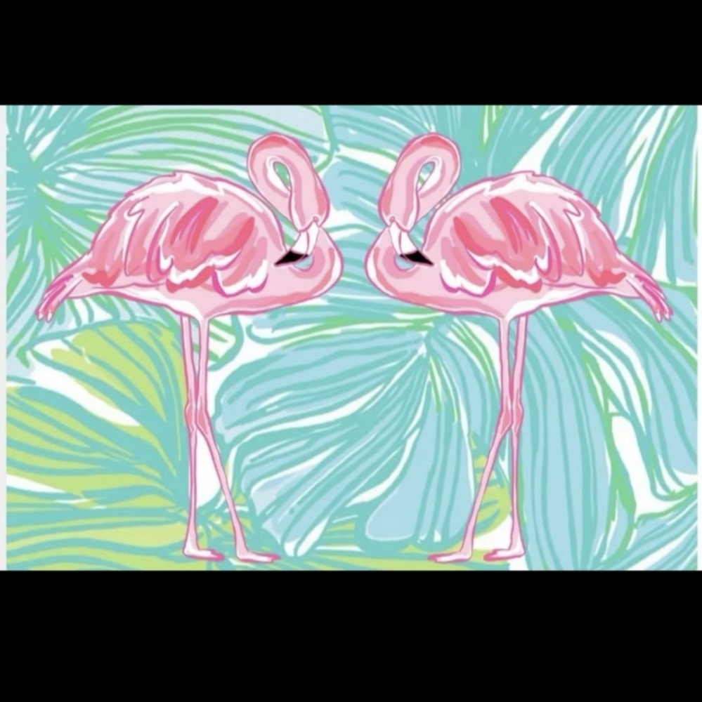 Who Doesn't Love Flamingos?